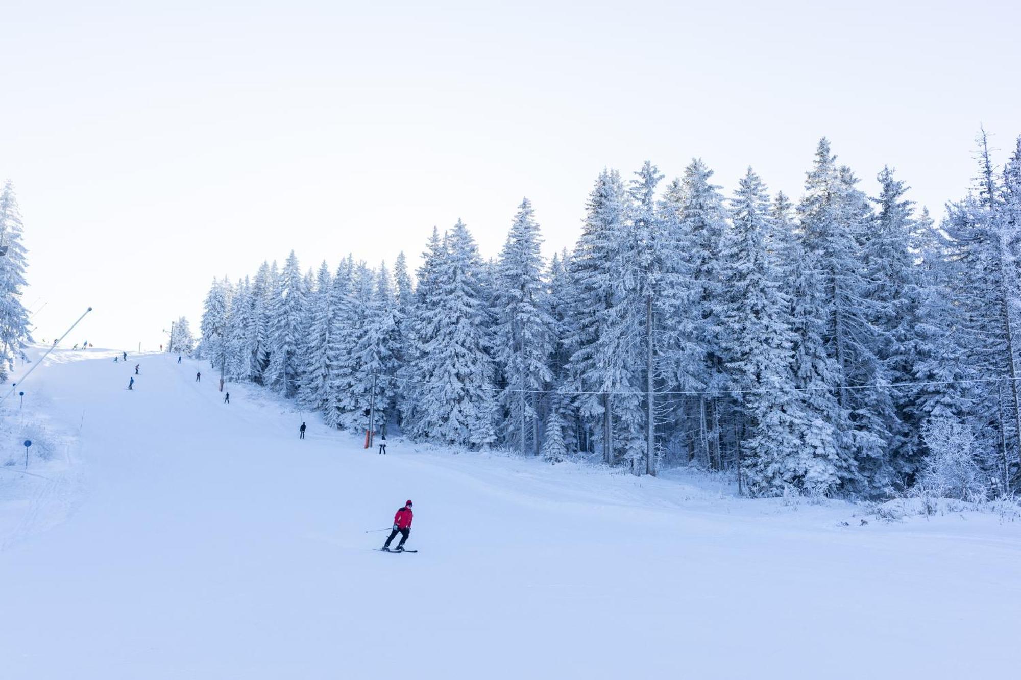 Planinske Vile M&S Kopaonik Extérieur photo